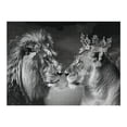 thumbnail image 5 of WYYP Lion Lioness Crowns Wooden Jigsaw Puzzle - Premium Eco-friendly Wood - Gift for Family Friends 500 PCS, 5 of 6
