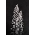 thumbnail image 2 of Nature Magick 13x18 Black Ornate Wood Framed with Double Matting Museum Art Print Titled - Black and White Forest Ferns, 2 of 4