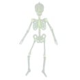 thumbnail image 3 of Luminous Skeleton Horror Halloween Prop interior y exterior Patio Decoración Los 32x6cm, 3 of 9