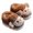 Coffee, variant on Gpaecead Kids Slippers Boys Girls Warm Soft Plush Cartoon Print Slippers Little Kids Non-Slip Winter Home Shoes for Indoor Outdoor 22 Coffee