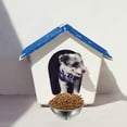 thumbnail image 5 of Cuenco elevado para gatos, plato de acero inoxidable para gatos para comida, agua, antivómitos, elevado, inclinado, 15°, 5 of 5