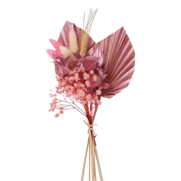 Flores secas reales Decoraciones boho Ramo de hojas de palma secas para decoración de mesa Estilo B Sunnimix Seco