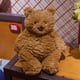 thumbnail image 2 of RV Lindo Oso De Peluche Brien Oso Suave Barceló Muñeco Oso Pardo Feo Rojo Verde, 2 of 5