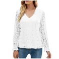 thumbnail image 1 of Tops de encaje de manga larga sexy con encaje Qpenwork de color sólido con cuello en V para mujer Fridja czfsfas5144, 1 of 3