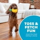 thumbnail image 5 of Juguete Dental Outward Hound Amarillo con Piña y Relleno Interactivo para Perro, 5 of 8