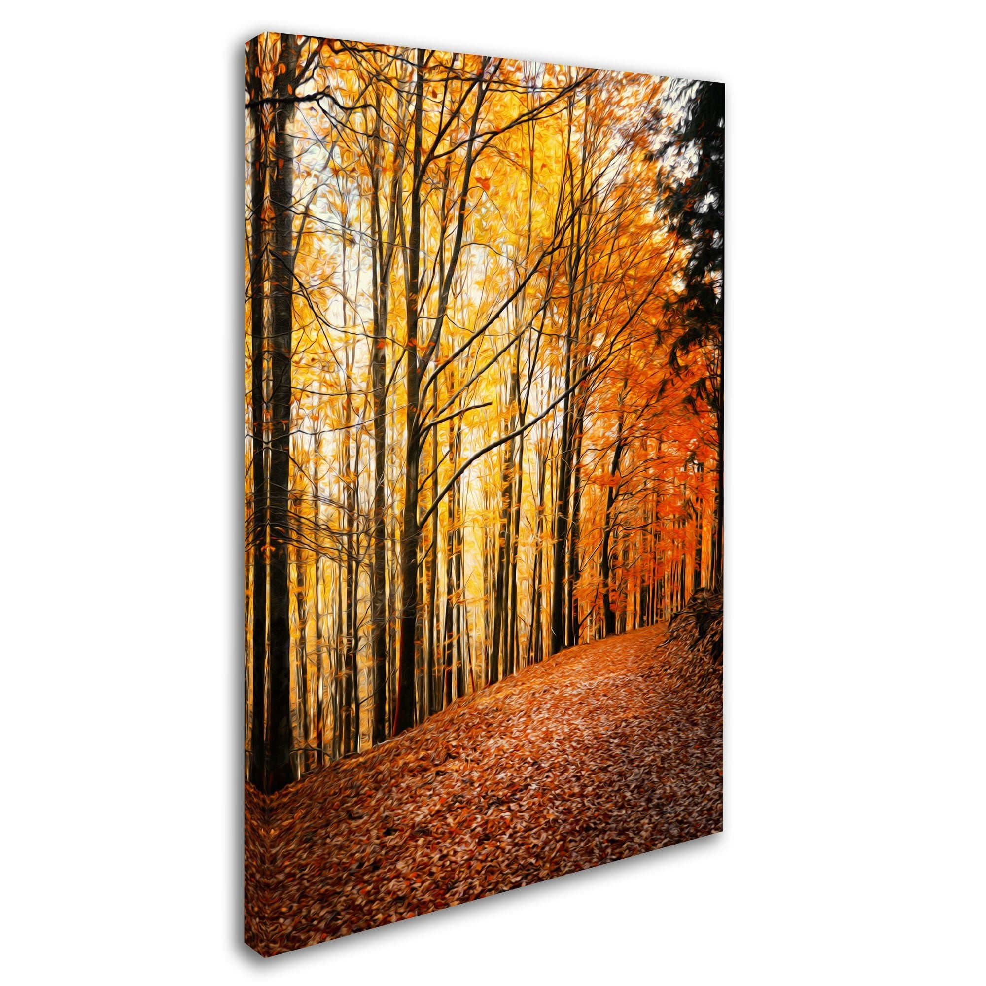 Trademark Fine Art "Yellow Moment" Canvas Art by Philippe Sainte-Laudy