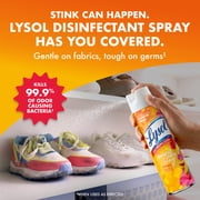 Lysol Brand New Day Disinfectant Spray, Sanitizing and Antibacterial Bathroom Spray, Deodorizer, Mango & Hibiscus, 19 oz