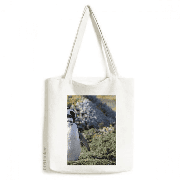 Stand Southern Penguin SpheniscidaePicture Tote Canvas Bag Shopping Satchel Casual Handbag