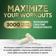 thumbnail image 4 of Creatine Monohydrate 3000mg Per Serving – Micronized Creatine Powder Capsules - Supports Lean Muscle, Strength, Energy, & Endurance - Nature's Supplement, Non-GMO, Bottled in USA - 120 Capsules, 4 of 10