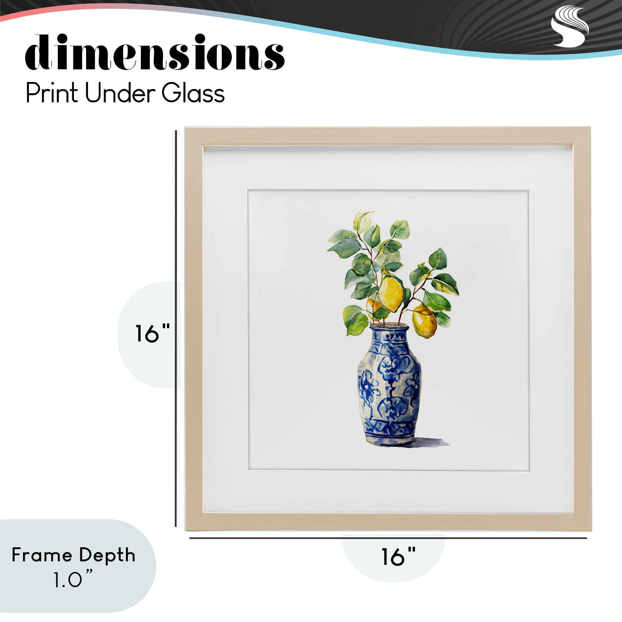 Stupell Industries Vase Of Sunshine Birch Framed Print Under Glass, design by Svetlana Aleynikova