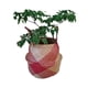 thumbnail image 4 of Cesta de paja para flores, maceta de bambú con forma de pájaro del paraíso, hoja de piano, ficus, tortuga, cesta de almacenamiento para decoración del hogar, 4 of 6