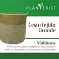 thumbnail image 2 of Planterist Cesta Organizadora Grande Tejida– Algodón Lavable, Plegable y Portable – Multiusos 33.5x34 cm para Almacenaje, Decoración y Ropa Sucia( Navojoa), 2 of 9