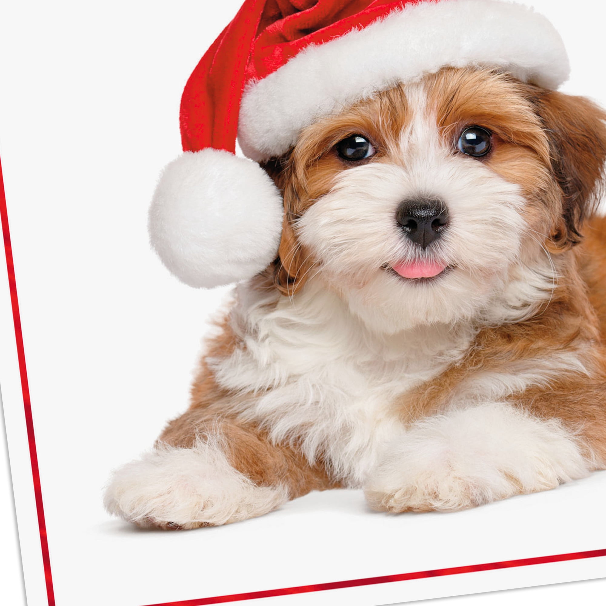 Hallmark Christmas Card (Warm Smiles Puppy Dog in Santa Hat)