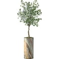 thumbnail image 4 of Artificial Tree in Modern Contemporary Planter, Fake Eucalyptus Silk Tree for Indoor and Outdoor Home Decoration - 66" Overall Tall (Plant Pot Plus Tree), 4 of 5