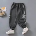 thumbnail image 2 of Baby Boys Sweatpants Wide Leg Sweatpants Sweatpants with Side Pockets for 6M-10T Kids Boys Athletic Pants Fall Winter Clothes Baby Pants Size 6-12 Months, 2 of 4