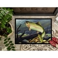 thumbnail image 3 of Carolines Treasures PTW2039MAT Rainbow Trout Door Mat Indoor Rug or Outdoor Welcome Mat 18x27 Doormat  27"L x 18"W, 3 of 4