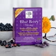 thumbnail image 1 of New Nordic Blue Berry Strong, 120 Tablets, 1 of 3