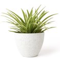 thumbnail image 1 of Jardinera exterior maceta interior blanca (11*14,5*19cm+12,5*22*17cm) JAMW Sencillez, 1 of 5