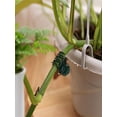 thumbnail image 4 of 100 Pcs Plant Clips Orchid Clips Plants Orchid Support Clips Flower Vine Clips for Supporting Stems Vines Stalks Climbing Plant Grow Upright, 4 of 6
