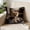 E, variant on Fasiaou Cute Animal Print Pillow Cover 18x18in Set of 2, Adorable Cat Dog Rabbit Faux Embroidery Decorative Cushion Cases for Sofa, Bed and Kids Room, Soft Polyester,E