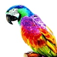 thumbnail image 6 of deevoka Artificial Parrots Figurines Sculpture Pendant Hanging Miniature Photo Props DIY A, 6 of 7