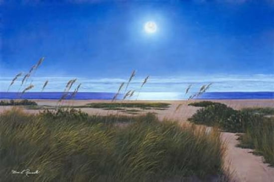 Blue Moon Canvas Ar