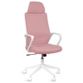 thumbnail image 1 of MAGMALIFE Silla de Oficina Fokus Ergonómica con Cabecera, Reclinación Ajustable, Malla Transpirable, Asiento de Alta Densidad, Ruedas 360° Antirrayas y Altura Regulable, Soporta 150 kg Rosa, 1 of 8