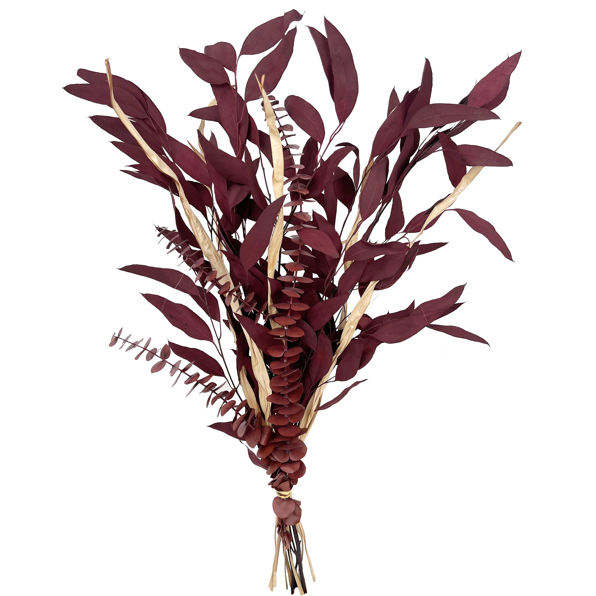 (2 pack) Dried Eucalyptus Mix Red Bouquet