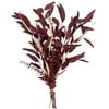 Image thumbnail_image