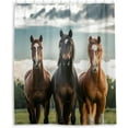 thumbnail image 2 of Coolnut Thought Horse Shower Curtain Waterproof Fabric with 12 Hooks Bathroom Bath Curtain Set Polyester Fabric Machine Washable 60 x 72 Inch Home Decor, 2 of 6