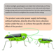 thumbnail image 5 of Juguete de Saltamontes Solar para Niños, Regalo de Simulación de Insectos, Educación Científica, Divertido Juguete en Movimiento., 5 of 5