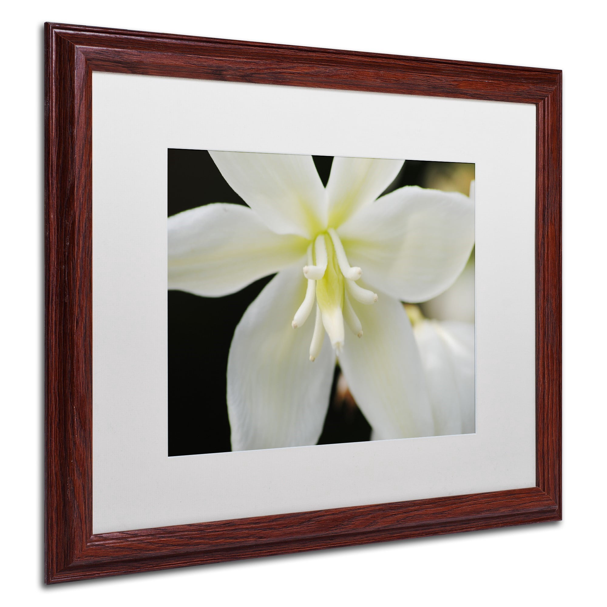 Trademark Fine Art "Hope" Canvas Art by Monica Mize, White Matte, Wood Frame