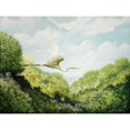 thumbnail image 3 of Nawrocke, Bruce 14x12 Black Modern Framed Museum Art Print Titled - Egret, 3 of 5