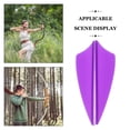 thumbnail image 3 of SOPOTUTU 60Pcs Colored Purple Plastic Arrow Fletchings Replacement Vanes for Stable Tails, 3 of 6