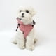 thumbnail image 5 of Chaqueta de lluvia impermeable para perro Billuyoard gris S, 5 of 6