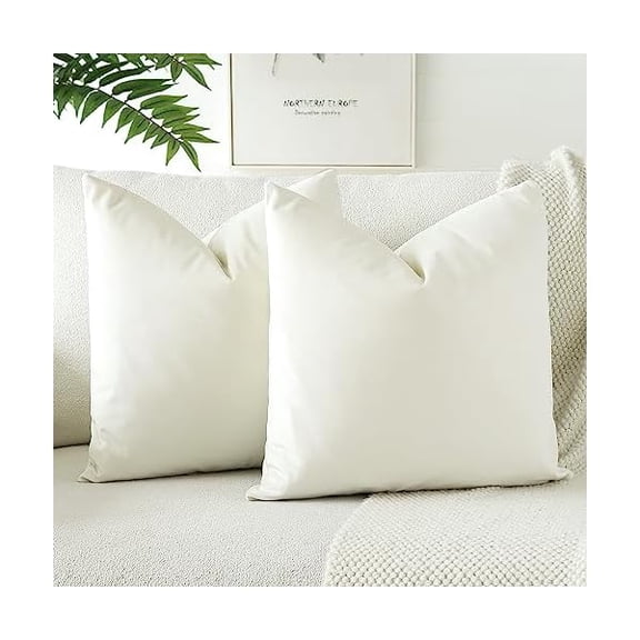 Eryueer Pack of 2 Velvet Soft Solid Cushion Covers 40x40 cm 16x16 Inch Decorative Throw Pillow Covers Square Cushion Case Home Decor Pillow Cases for Couch Sofa Living Room Bedroom (Cream White)