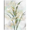 thumbnail image 1 of Cuadro Decorativo - Susurros botánicos II Jr  Impresión en canvas, estrechado., 1 of 1