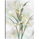 thumbnail image 1 of Cuadro Decorativo - Susurros botánicos II Jr  Impresión en canvas, estrechado., 1 of 1
