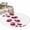 Pink, variant on Ladybug Bathroom Rug Washable 2x3 Entryway Rug Non Slip Red Black Animals Front Door Mat Low Pile Indoor Doormat Throw Floor Carpet for Kitchen Bedroom Entrance