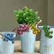 thumbnail image 2 of 4 Uds Gecko decoración adornos colgantes adorno para valla hogar, 2 of 9