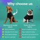 thumbnail image 5 of Traje de recuperación transpirable para mascotas - Diseño anti-lamidos - Tejido elástico para la protección de heridas post-quirúrgicas, 5 of 8