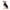 Black, variant on Projectretro Dog Sweater - Warm Sweater Winter Clothes Puppy Soft Coat, Pure Color Dog Sweater for Small Medium and Large Dogs, Pet Clothing Boy Girl