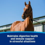 Farnam Probiotic Paste for Horses 30 grams