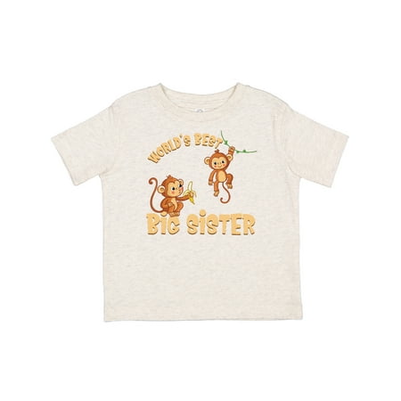 

Inktastic Big Sister Gift Toddler Toddler Girl T-Shirt