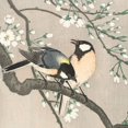 thumbnail image 2 of Koson, Ohara 12x12 Gold Ornate Wood Framed with Double Matting Museum Art Print Titled - Tits on Cherry Branch, 2 of 4