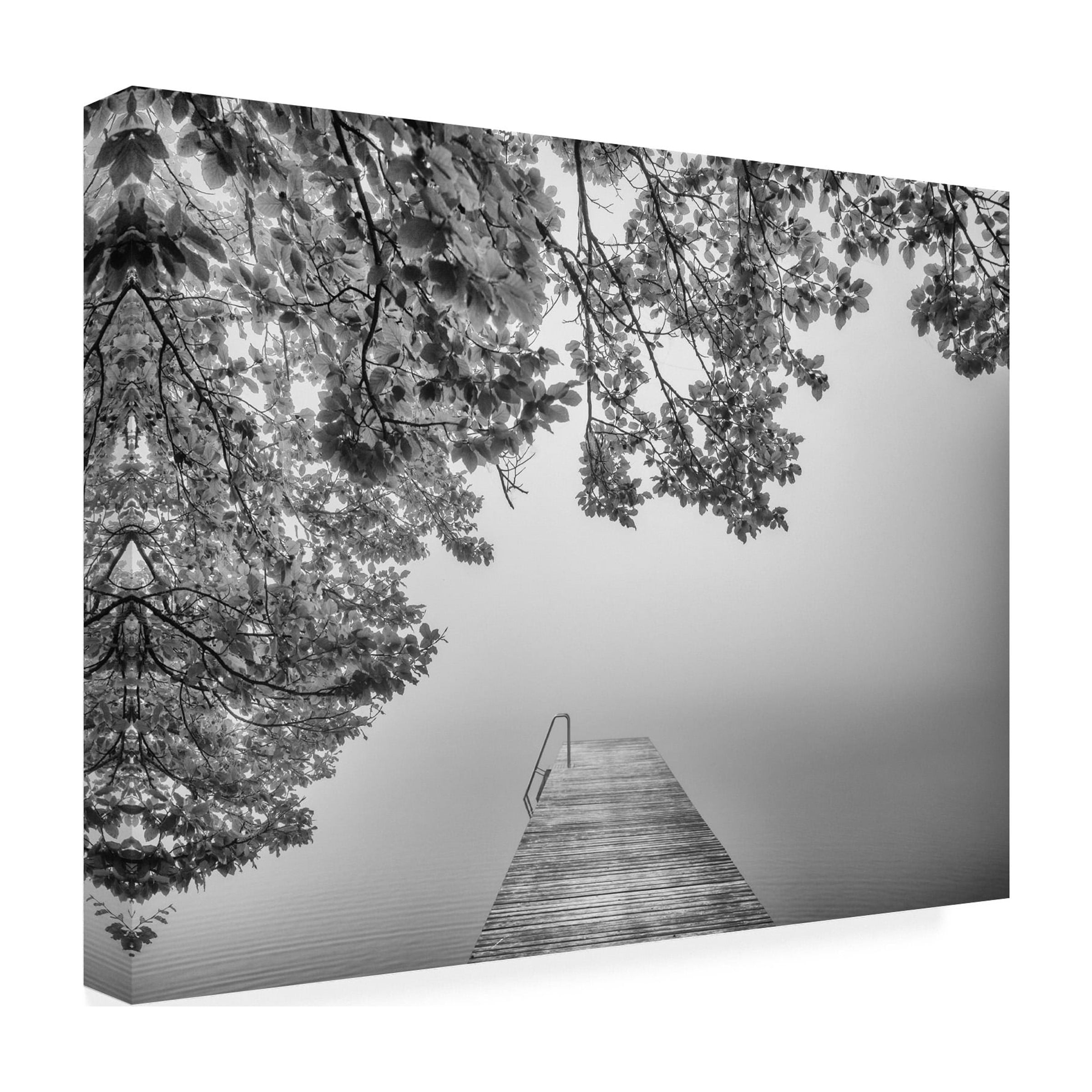Canvas Wall Art - Margit Lisa Roeder 'The Sound Of Silence' Wall Art for Living Room, Bedroom, or Office DÃ©cor by Trademark Fine Art - 32 x 24 Inches