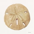 thumbnail image 3 of Stellar Design Studio 12x12 Black Modern Framed Museum Art Print Titled - Neutral Shell Collection 5, 3 of 5
