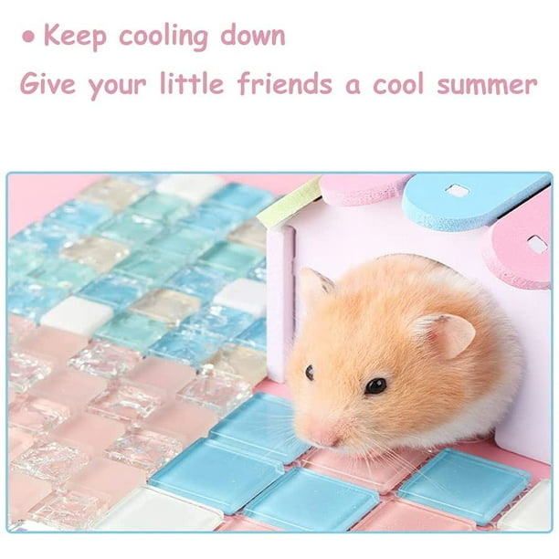 Hamster hotsell cooling pad
