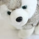 thumbnail image 3 of Peluche Realista Realista Anim Dog Dog Juguete hecho a mano Figura de juguete, 3 of 8