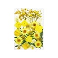 thumbnail image 1 of Ruiboury Dried Flowers Set Scrapbooking Decorating Real Flower Decal Handicraft Filling Pressed Specimen Label for Makeup Phone Use Type 3, 1 of 6